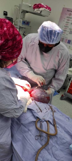 Francisco Carbajal-45