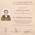 Ampliar imagen: certificate 3