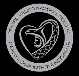 Diego Boroel Cervantes-4