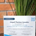 Ampliar imagen: certificate 5
