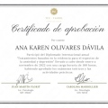 Ampliar imagen: certificate 3