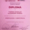 Ampliar imagen: certificate 2