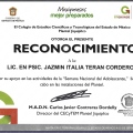 Ampliar imagen: certificate 6