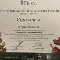 Ampliar imagen: certificate 23