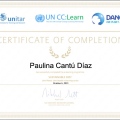 Ampliar imagen: certificate 13