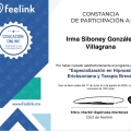 Ampliar imagen: certificate 2
