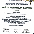 Ampliar imagen: certificate 28