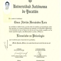 Ampliar imagen: certificate 5