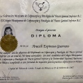 Ampliar imagen: certificate 2