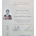 Ampliar imagen: certificate 3