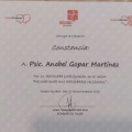Ampliar imagen: certificate 6