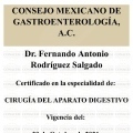 Ampliar imagen: certificate 3