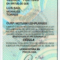 Ampliar imagen: certificate 11