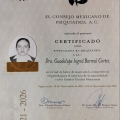 Ampliar imagen: certificate 12