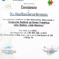 Ampliar imagen: certificate 8