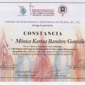 Ampliar imagen: certificate 21