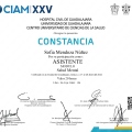 Ampliar imagen: certificate 5