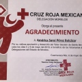 Ampliar imagen: certificate 21