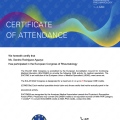 Ampliar imagen: certificate 4