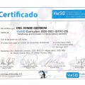 Ampliar imagen: certificate 2
