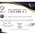 Ampliar imagen: certificate 5