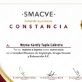 Ampliar imagen: certificate 2