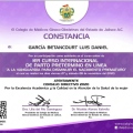 Ampliar imagen: certificate 2