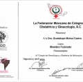 Ampliar imagen: certificate 11