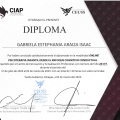 Ampliar imagen: certificate 3