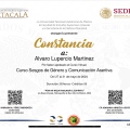 Ampliar imagen: certificate 21