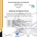 Ampliar imagen: certificate 8