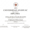Ampliar imagen: certificate 5