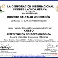 Ampliar imagen: certificate 8