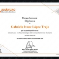 Ampliar imagen: certificate 8