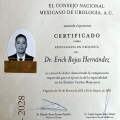 Ampliar imagen: certificate 4