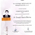 Ampliar imagen: certificate 1