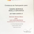 Ampliar imagen: certificate 13