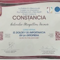 Ampliar imagen: certificate 25