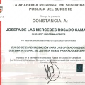 Ampliar imagen: certificate 13