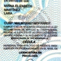 Ampliar imagen: certificate 1