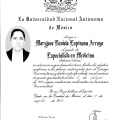 Ampliar imagen: certificate 3