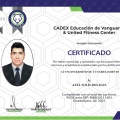 Ampliar imagen: certificate 9