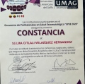 Ampliar imagen: certificate 9