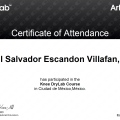 Ampliar imagen: certificate 6
