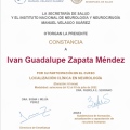 Ampliar imagen: certificate 5