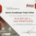 Ampliar imagen: certificate 2