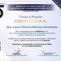Ampliar imagen: certificate 8