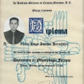 Ampliar imagen: certificate 5