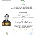 Ampliar imagen: certificate 3