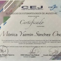Ampliar imagen: certificate 5